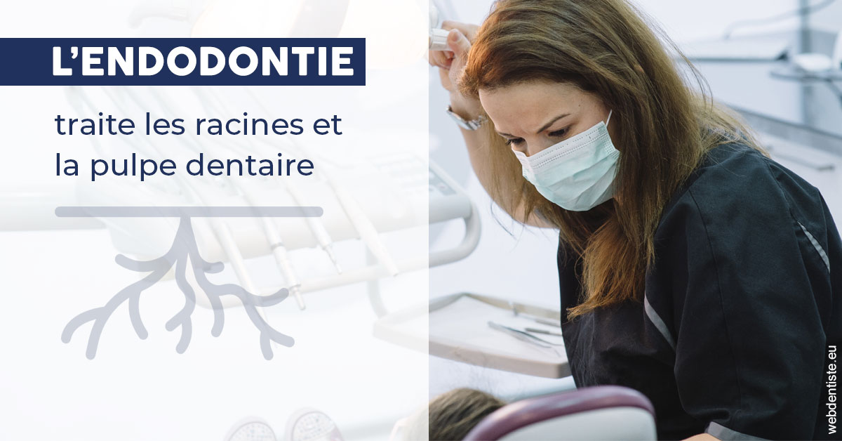 https://dr-zenou-stephane.chirurgiens-dentistes.fr/L'endodontie 1