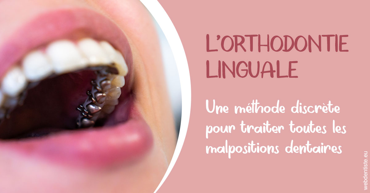 https://dr-zenou-stephane.chirurgiens-dentistes.fr/L'orthodontie linguale 2