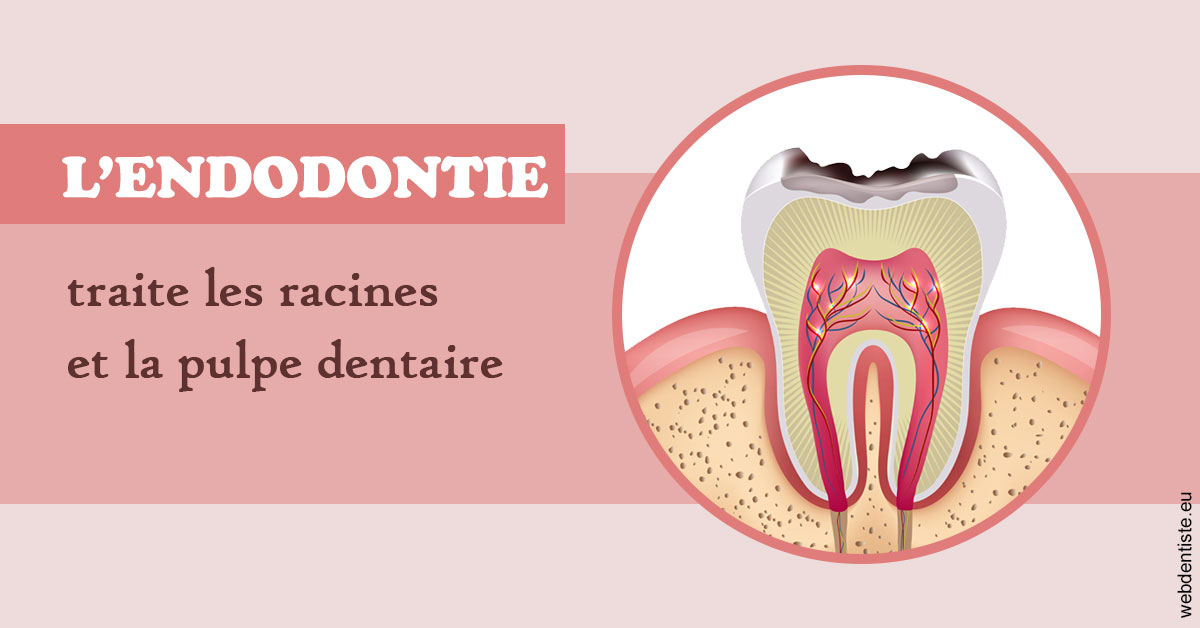 https://dr-zenou-stephane.chirurgiens-dentistes.fr/L'endodontie 2