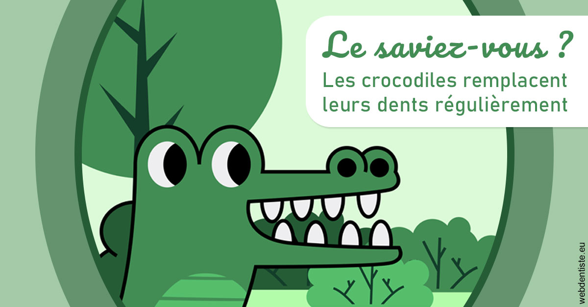 https://dr-zenou-stephane.chirurgiens-dentistes.fr/Crocodiles 2