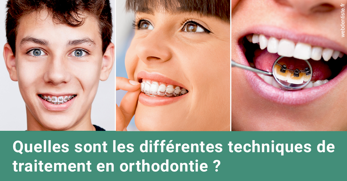 https://dr-zenou-stephane.chirurgiens-dentistes.fr/Les différentes techniques de traitement 2