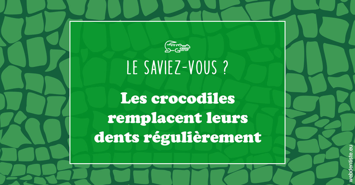 https://dr-zenou-stephane.chirurgiens-dentistes.fr/Crocodiles 1